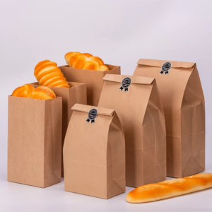 wellpack-without handles paper bag. (17)