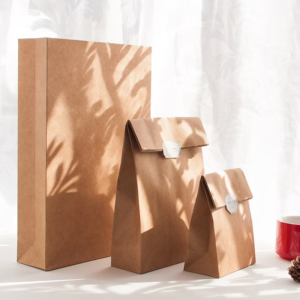 wellpack-without handles paper bag. (3)
